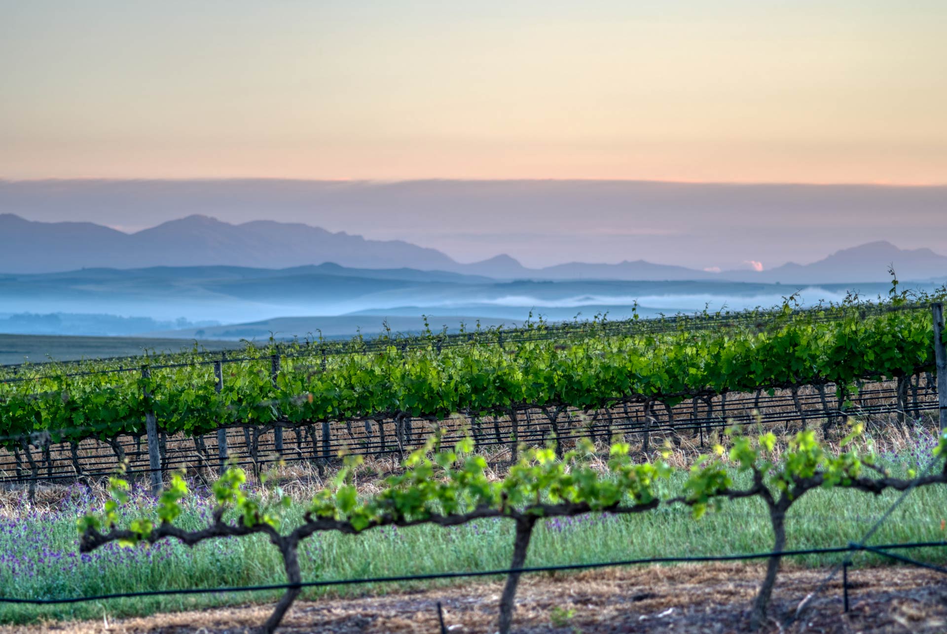 VillaHost Property Photography